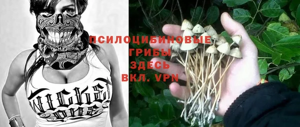 сатива Алексеевка