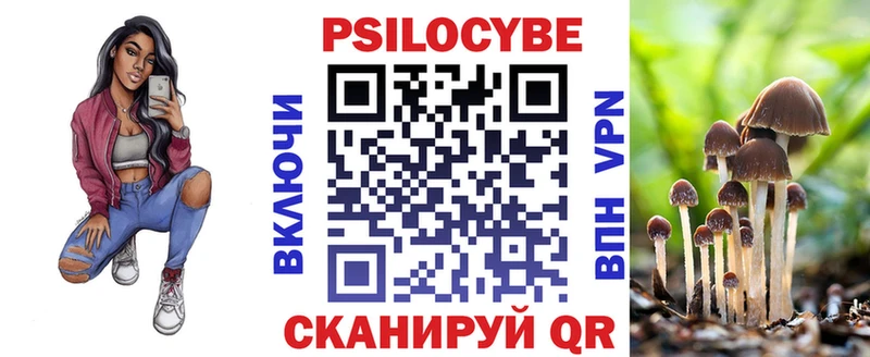 хочу наркоту  Стародуб  Галлюциногенные грибы Cubensis 